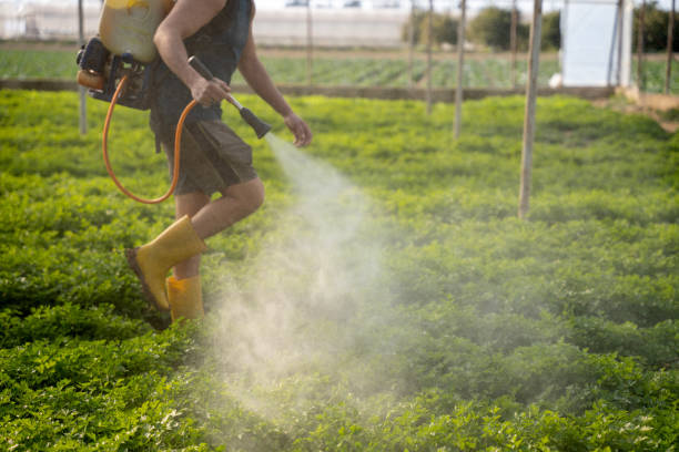 Best Pest Control Cost  in Gaffney, SC
