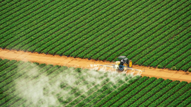 Best Mosquito Control Services  in Gaffney, SC