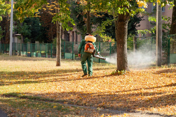 Best Residential Pest Control  in Gaffney, SC