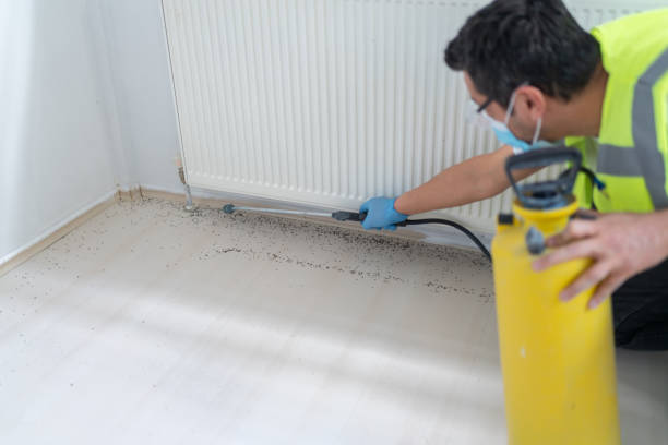Best Pest Control for Businesses  in Gaffney, SC