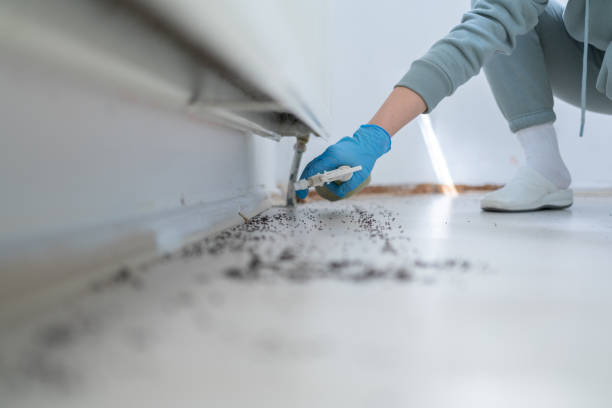 Professional Pest Control in Gaffney, SC