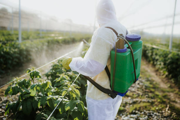 Best Mosquito Control Services  in Gaffney, SC